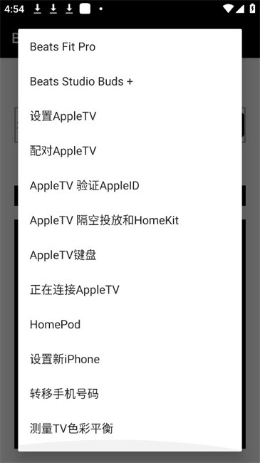 BadAppleJuice截图